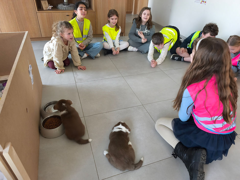 L3 op puppy bezoek bij Elise!