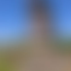 L3+L4 Bosklassen dag 1