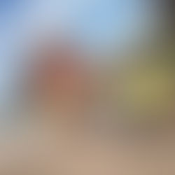 De tweede graad op verkeerswandeling