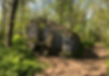 Saxon woods park.png
