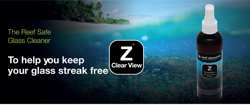 RZ Clear View Web Banners site.png