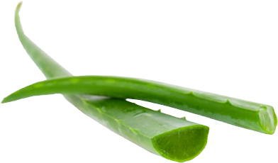 КАТАЛОГ НОВЫИ CAREMED_edited.png