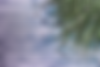 background-5.png