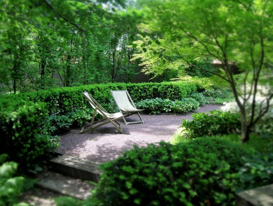 Create a Beautiful Secluded Outdoor Space