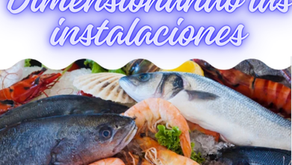 Dimensionando las instalaciones
