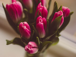 Mothers & Fathers Day Grief