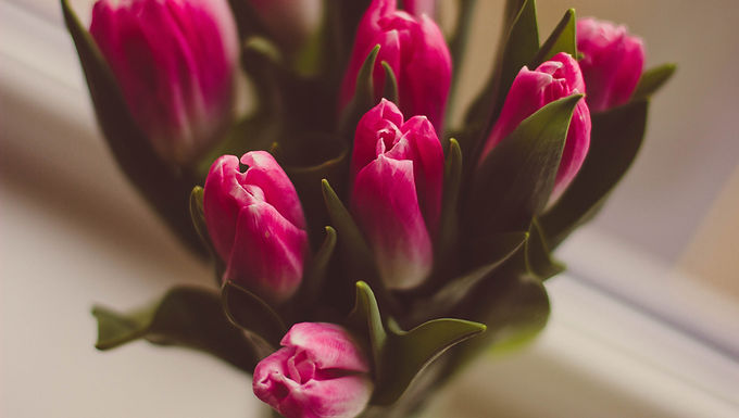 Spring Newsletter