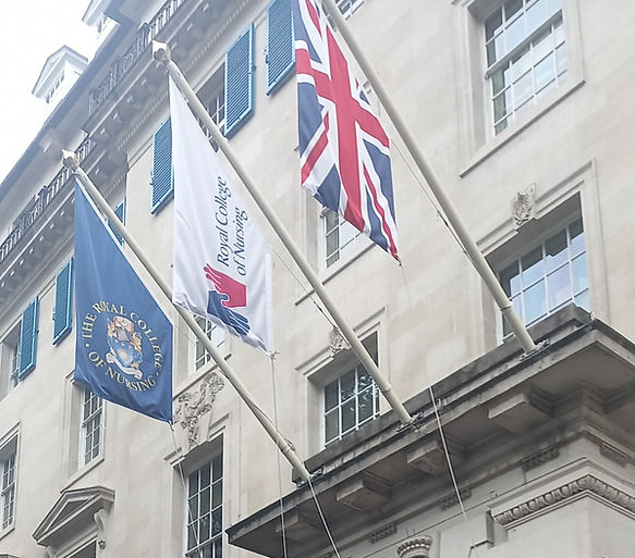 TBF RCN PICS RCN Flag pic (1).jpg