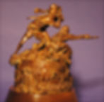 APHA Selous Award