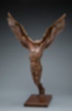 Euphoria Of Flight - Website 3