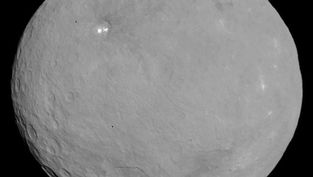 Cerere in opposizione, fotografare un pianeta nano “stellare”