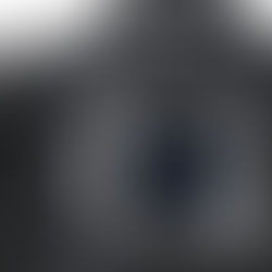 Canon EOS-1D X Mark III in arrivo nel 2020