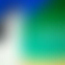 Apple presenta il grandangolo, Google Pixel 4 pensa alle stelle