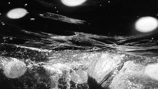 Apple annuncia che pagherà una quota per la licenza ai vincitori del concorso "Shot on iPhone&q