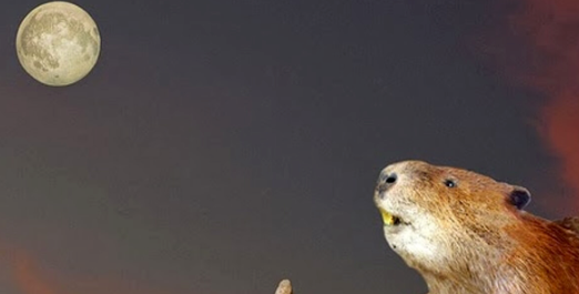 5 novembre: Luna Piena del Castoro – la Superluna più grande del 2025