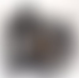 La mostra al Nikon Museum espone 60 rari prototipi di obiettivi! Peccato sia a Tokio.