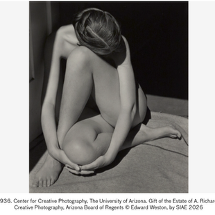 Edward Weston. La materia delle forme