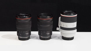 Canon avrà un impennata delle vendite entro fine luglio?