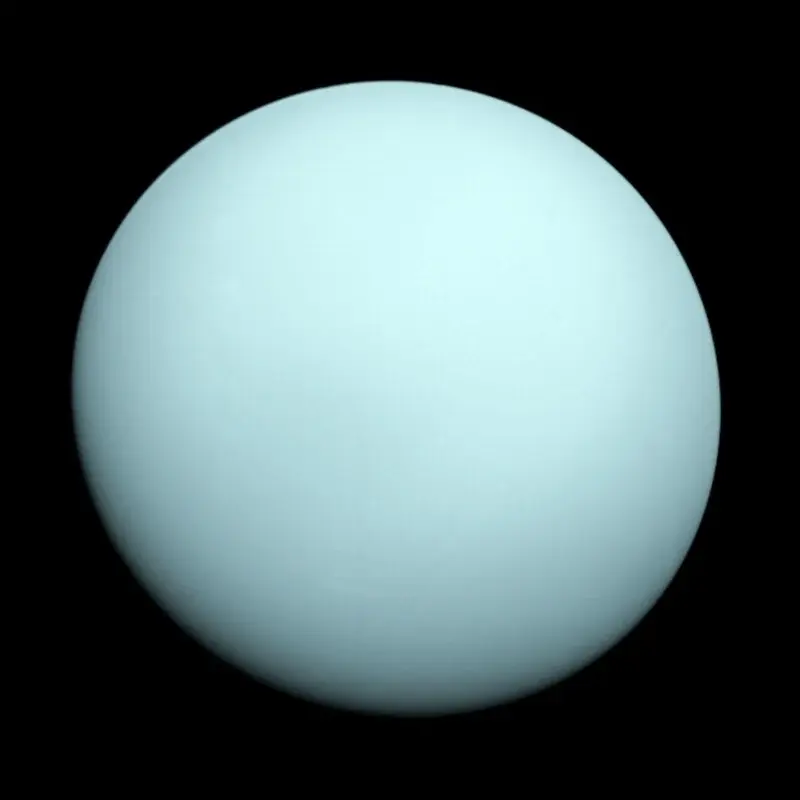 ree