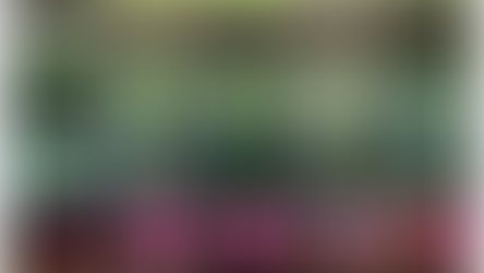 Xiaomi presenta DeepExposure, un'IA che aggiusta automaticamente l'esposizione e i dettagli 