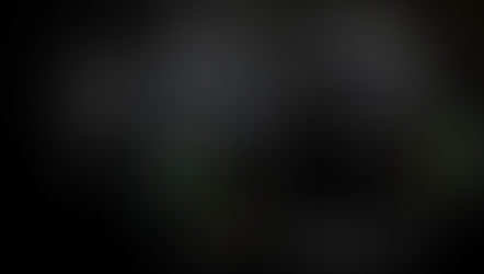 Nikon riporta che il suo fatturato è calato di quasi il 18%