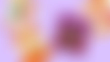 U.S. tortilla market CPG strategy Hispanic consumer growth GRUMA Mission