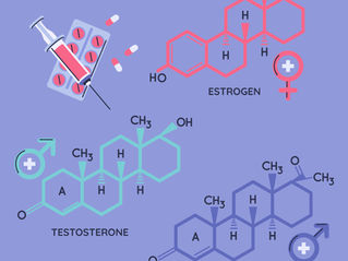 An illustration of human sex hormones