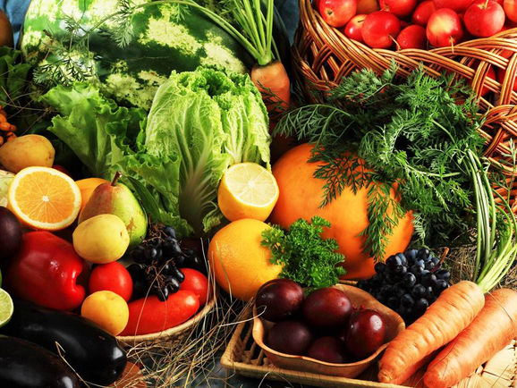 MICRONUTRIENTES ANABÓLICOS