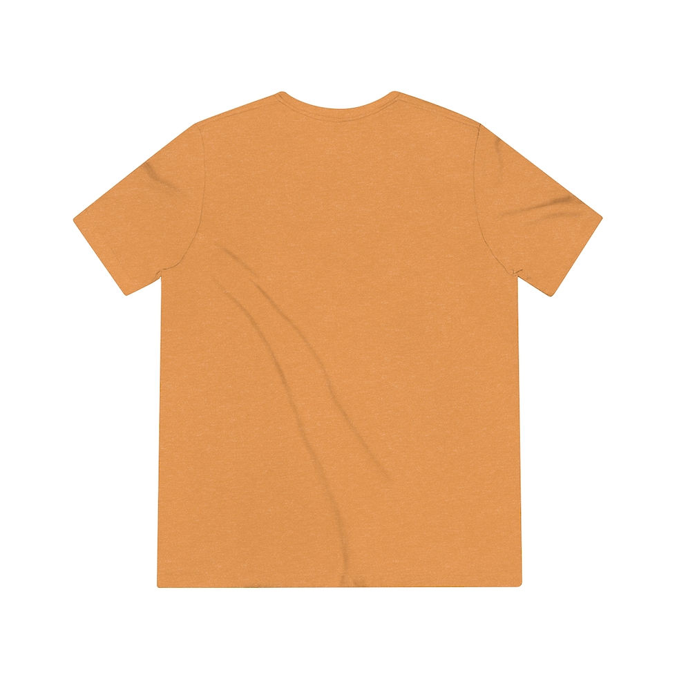 Thumbnail: Florida Cut Out Triblend Tee