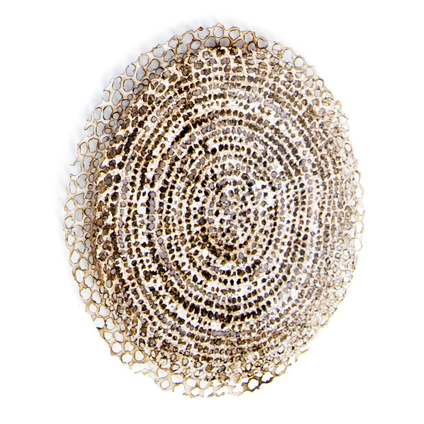 4. Antiquated Notions #4.jpg