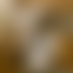 Il Tacchino Induttivista: Quando la Certezza Diventa una Trappola con l'uso dell'intelligenza artificiale 