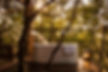 Jungle Machan 1.jpg