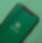 Sharkia_CoverFrame