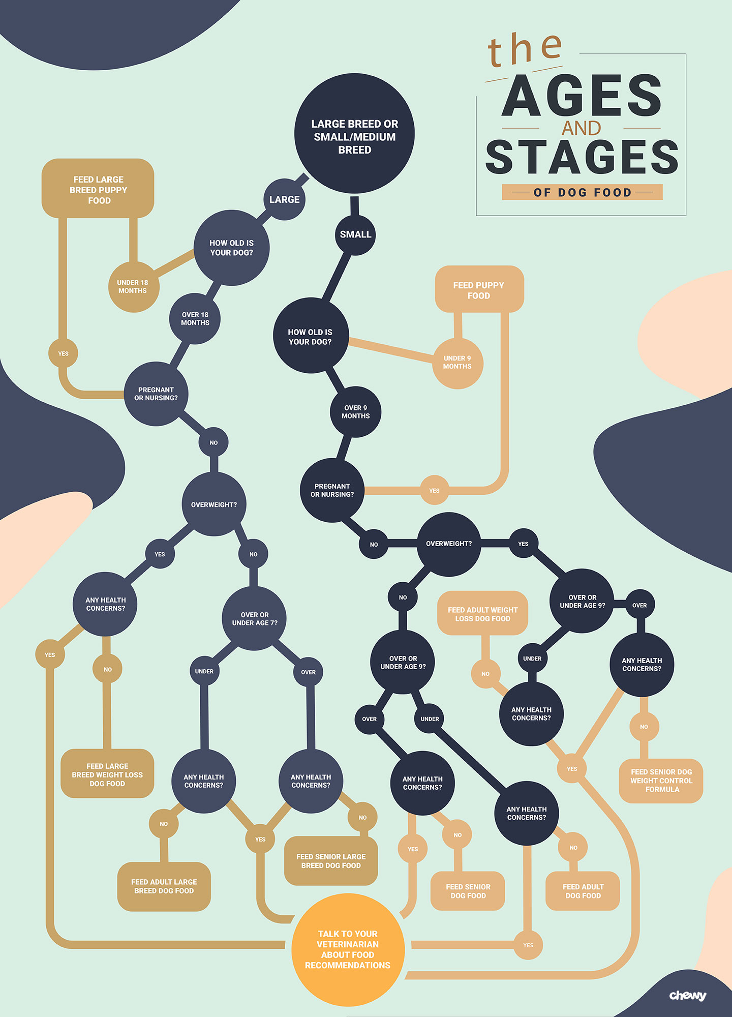 When should I change from puppy to adult food? content media