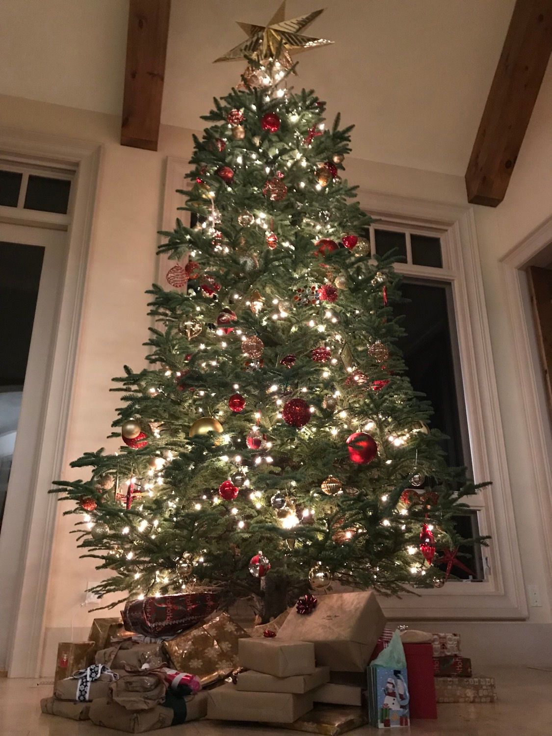 11-12 ft Noble fir