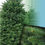 Thumbnail: 11-12 ft Noble fir