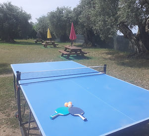 mesa-ping-pong.jpeg
