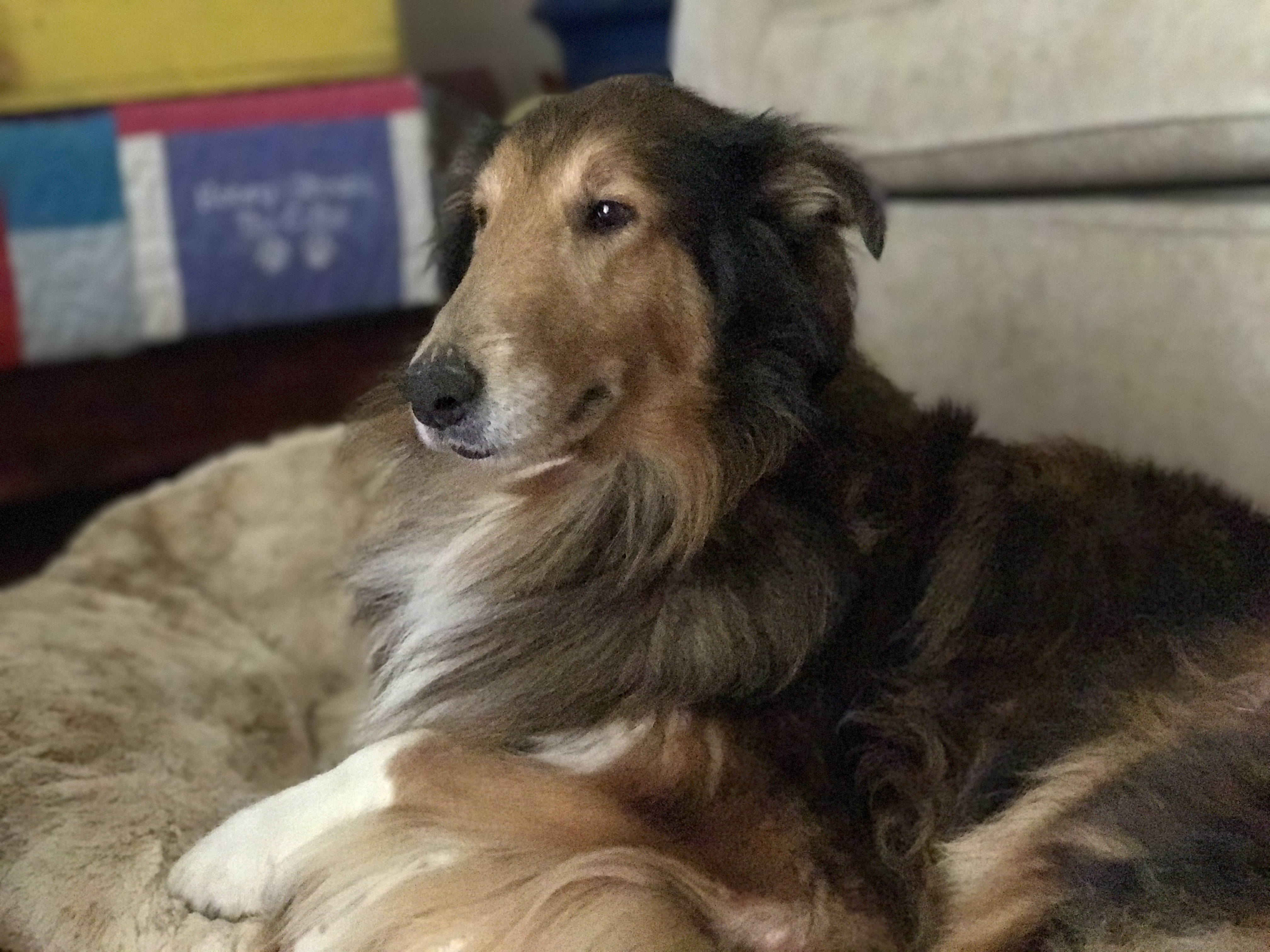 Maggie