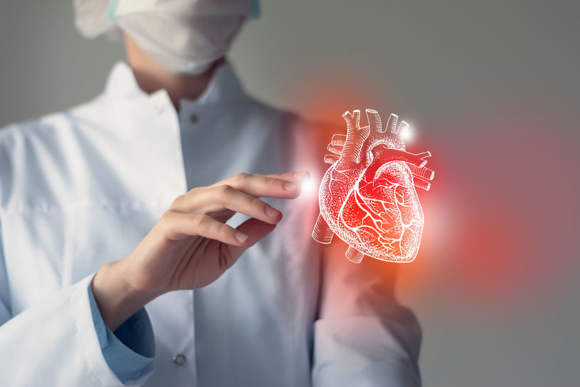 Female doctor touchstone virtual Heart in hand. Blurred photo, handrawn human organ, highl