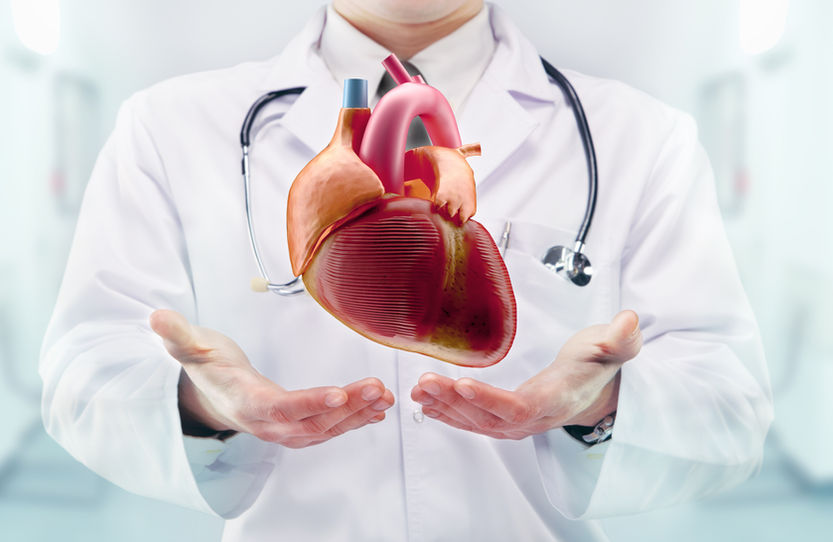 Doctor with stethoscope and heart on the  hands in a hospital. High resolution. .jpg