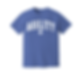 Salty Bulldog's Agility Varsity Puff Letter t-shirt in Flo Blue