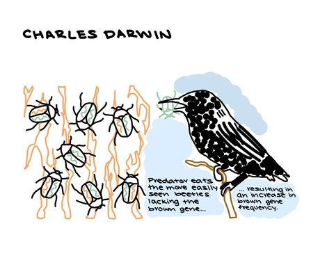 Charles Darwin