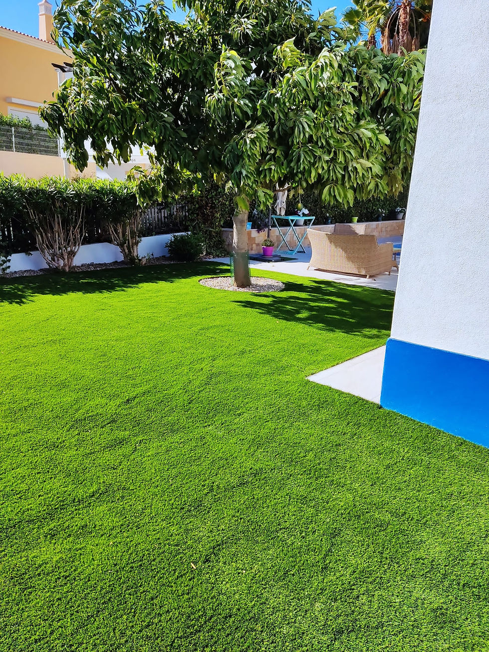 Pedigree Outdoor Portfolio