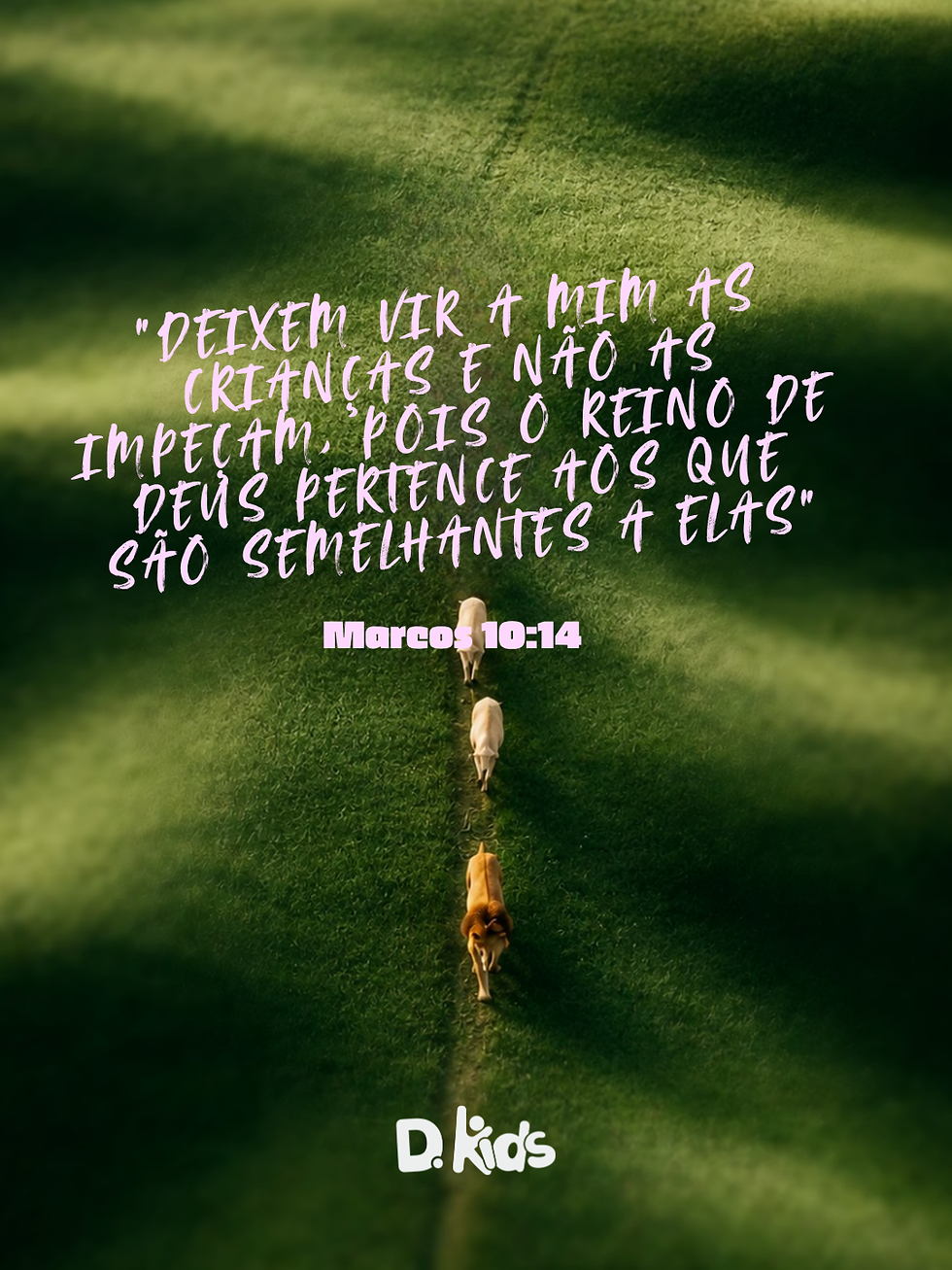 O REINO (4).png
