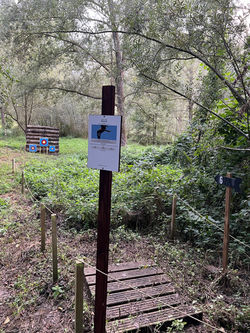 Range 6 on the East Flight of the Falconer's Archery Trail at Battle Park