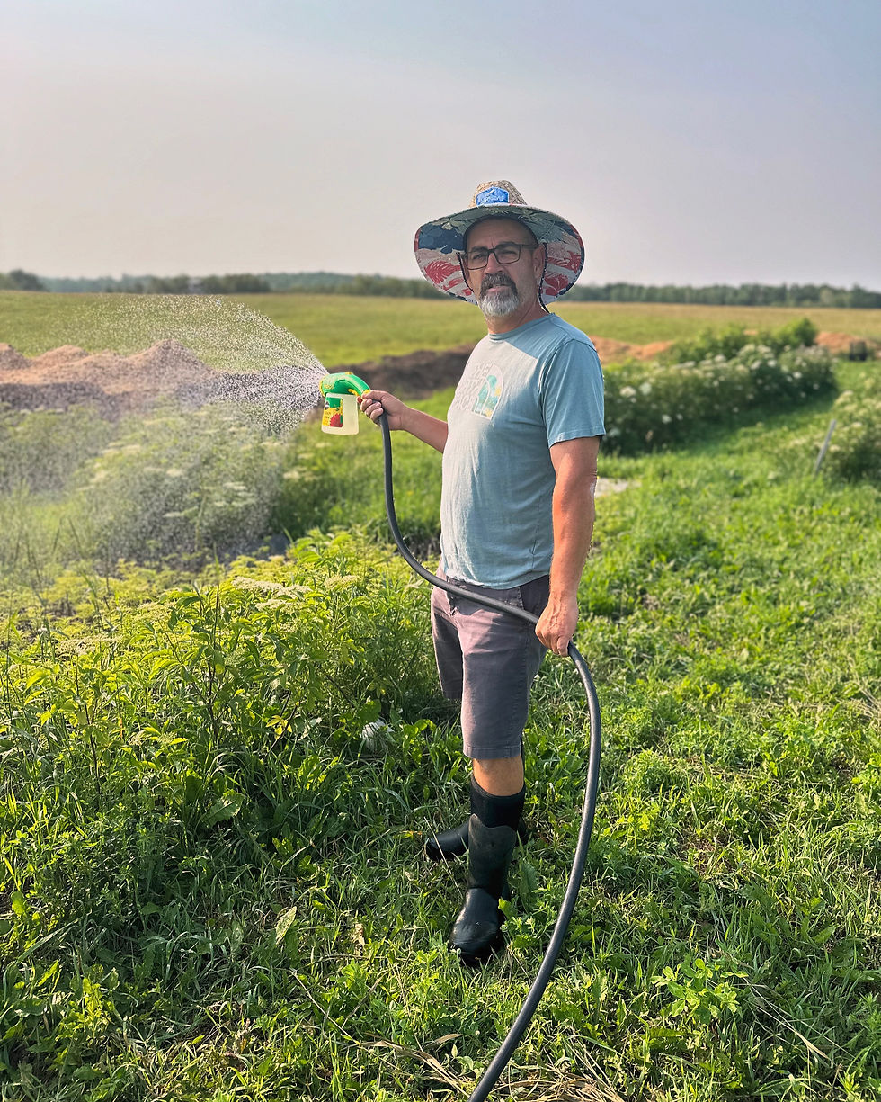 Ben Machlitt watering his elderberry plants on his farm, Popple Tree Creek Farm.