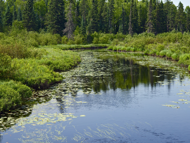 Judge Dismisses Two Water Protector Cases as Not Supported by the Evidence
