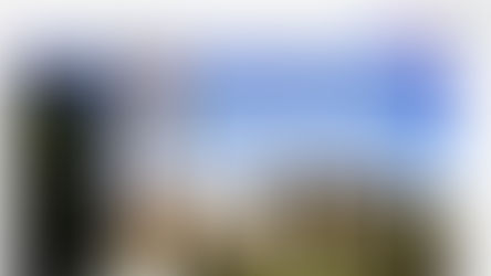 캐나다 연방대법원이 동성애 반대한 대학에 로스쿨 설립을 불허했다?