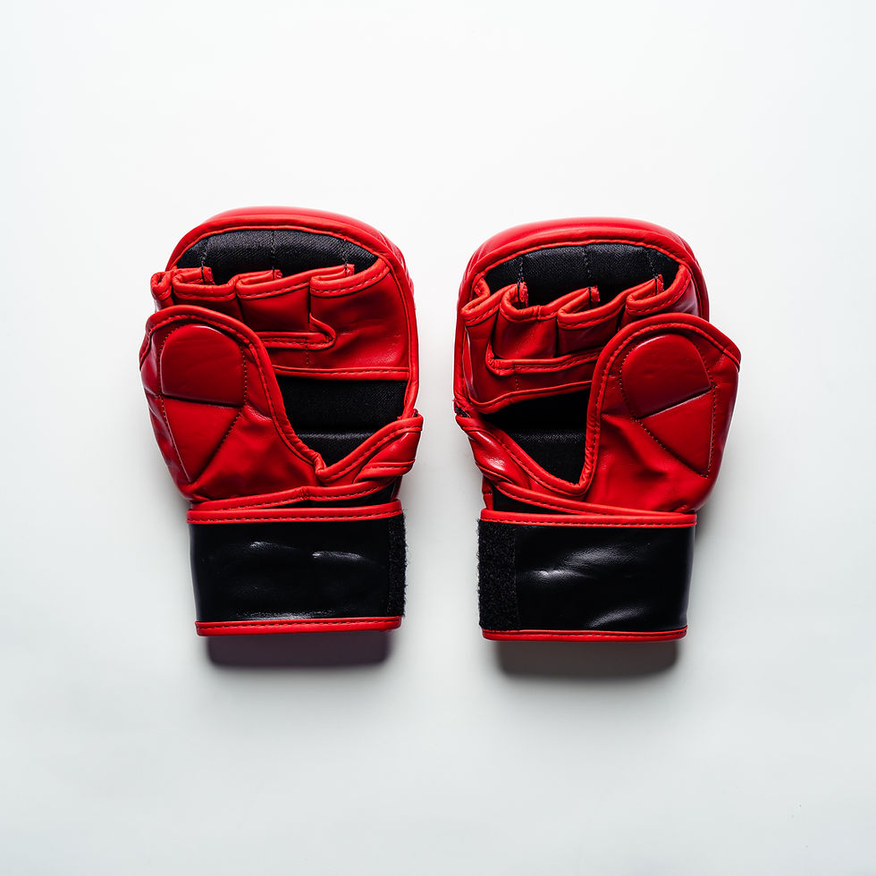 Thumbnail: Jungle Strong MMA Gloves #0003