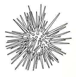 visuel Proto hérissé (Cha pelletier).jpg